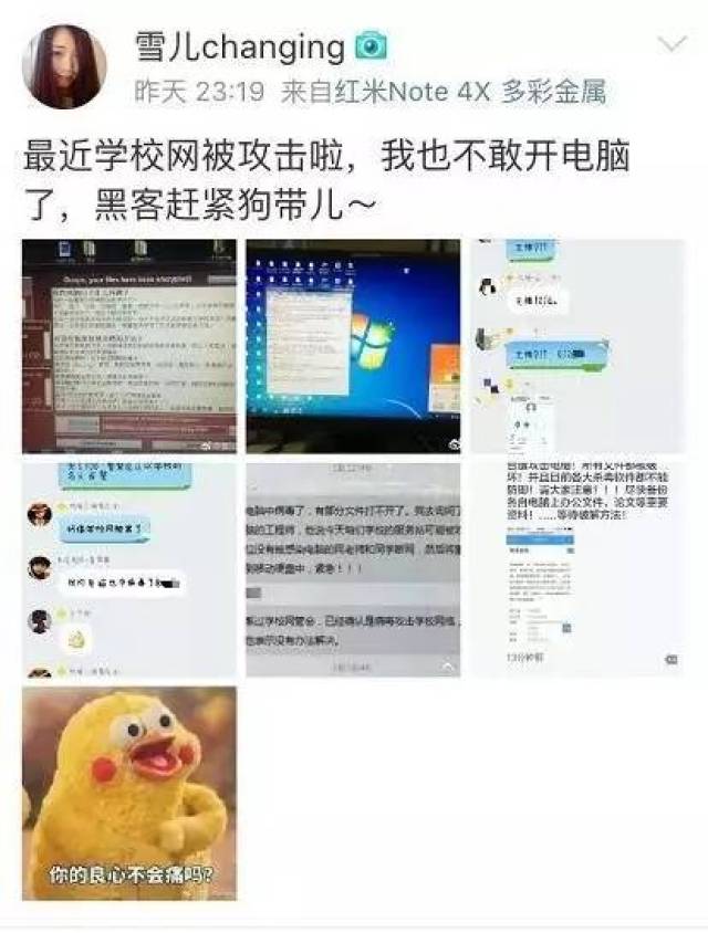 Quickq电脑版体验分享与反馈总结