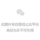 公测服务器拥堵及连接失败应对策略深度解析